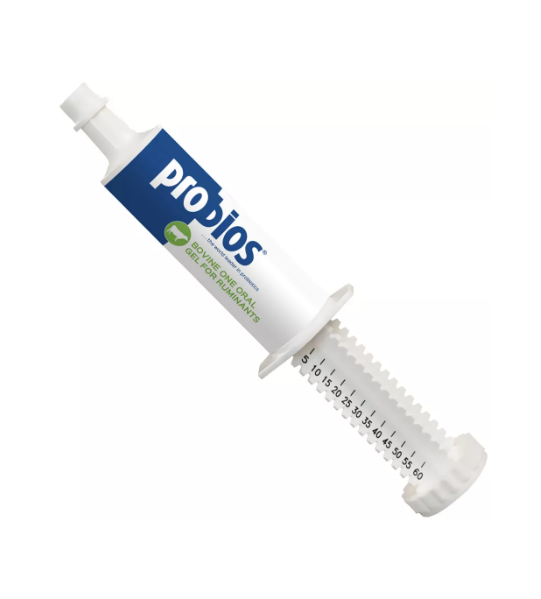 Probios Bovine One Oral Gel for Ruminants, 60gm